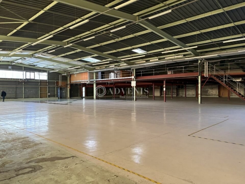 Location Activités Entrepôts DUPPIGHEIM (67120) - Photo 10