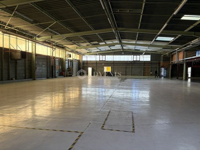 Location Activités Entrepôts DUPPIGHEIM (67120) - Photo 9