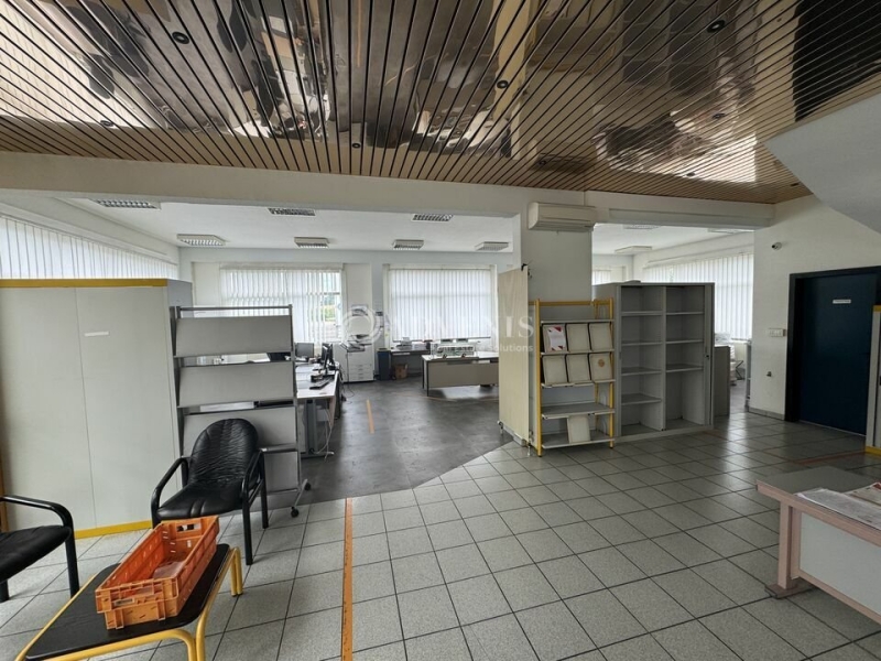 Location Activités Entrepôts BRUMATH (67170) - Photo 11