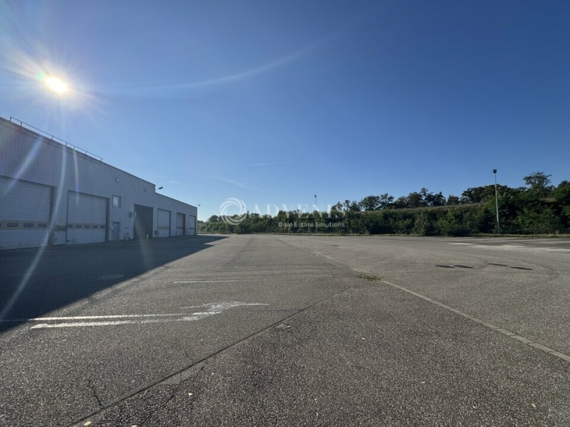 Location Activités Entrepôts BRUMATH (67170) - Photo 3