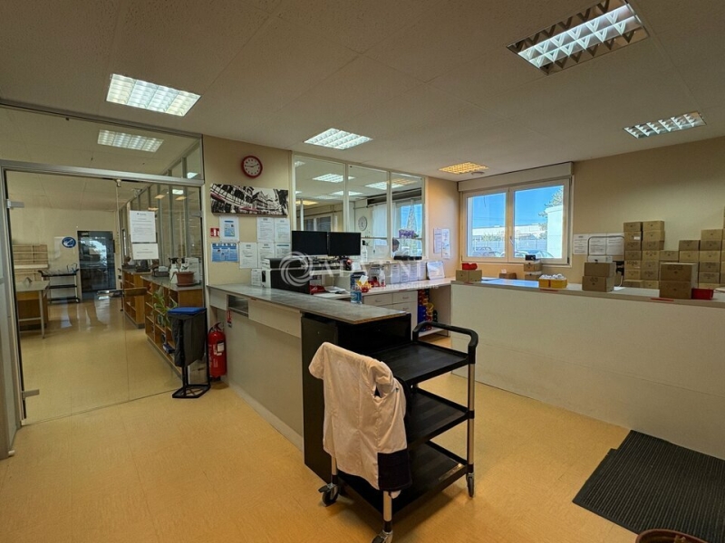 Vente Investisseur Bureaux et activités légères MOLSHEIM (67120) - Photo 10