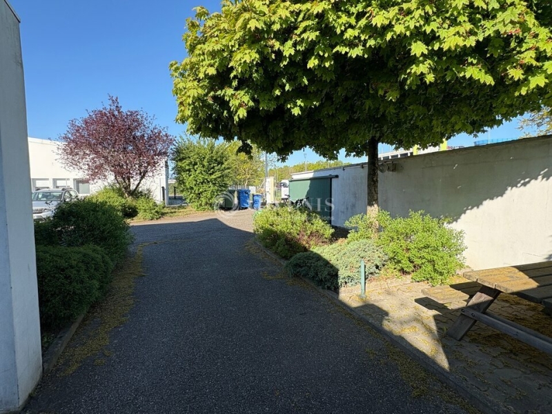 Vente Investisseur Bureaux et activités légères MOLSHEIM (67120) - Photo 6