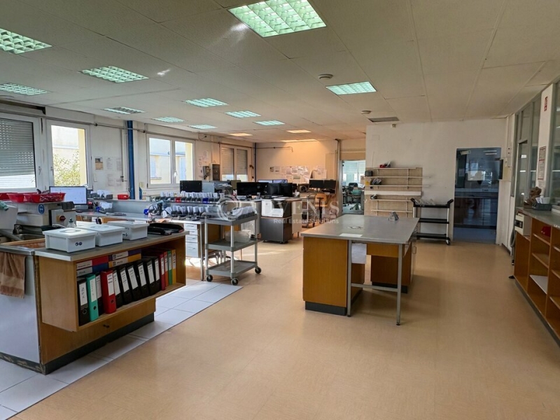 Vente Investisseur Bureaux et activités légères MOLSHEIM (67120) - Photo 9