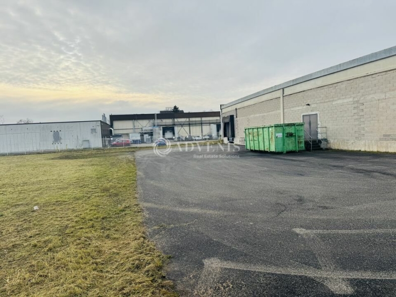 Location Commerces BRUMATH (67170) - Photo 8