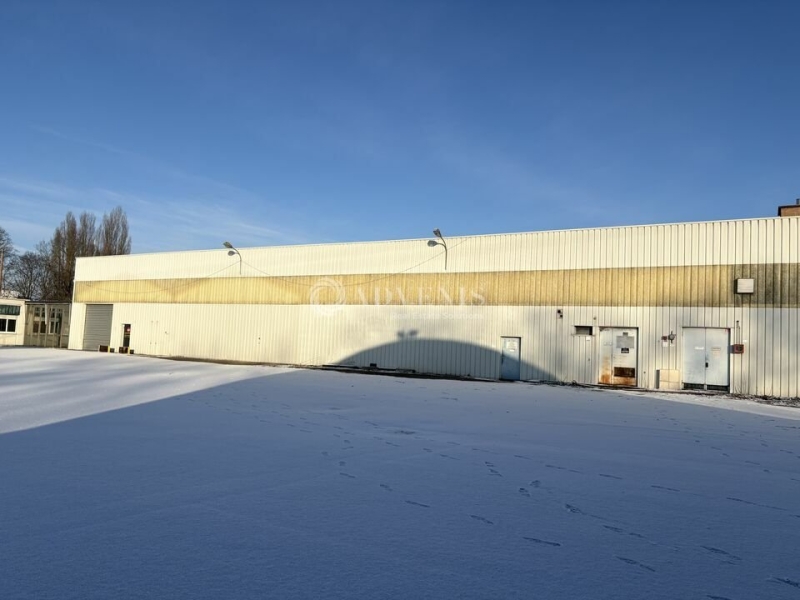 Vente Investisseur Activités Entrepôts DUPPIGHEIM (67120) - Photo 4
