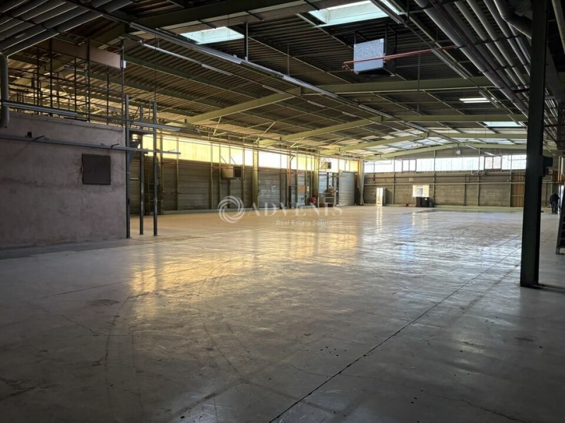 Vente Investisseur Activités Entrepôts DUPPIGHEIM (67120) - Photo 8