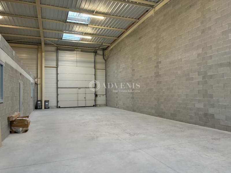 Location Activités Entrepôts BENFELD (67230) - Photo 8