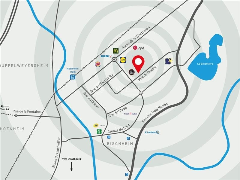 Vente Investisseur Activités Entrepôts BISCHHEIM (67800) - Photo 6