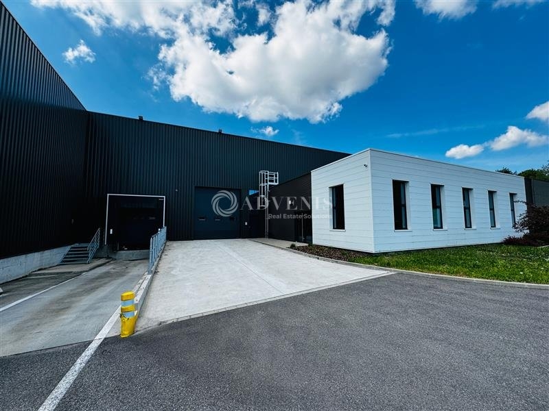 Vente Investisseur Activités Entrepôts REICHSTETT (67116) - Photo 6
