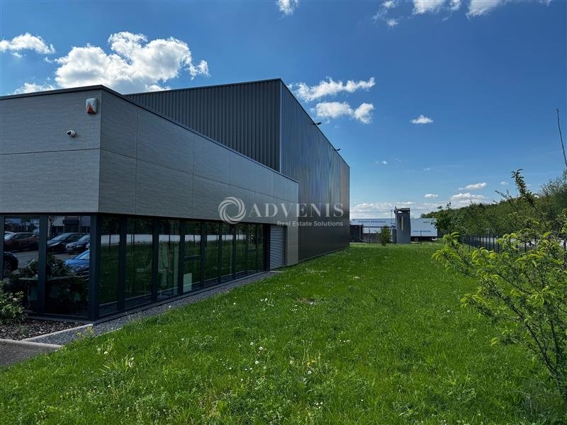 Vente Investisseur Activités Entrepôts REICHSTETT (67116) - Photo 9