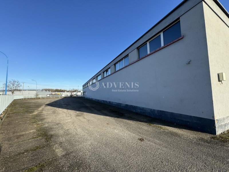 Vente Investisseur Activités Entrepôts REICHSTETT (67116) - Photo 12