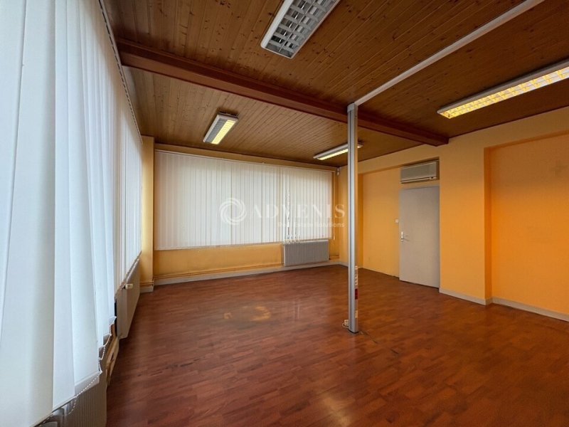 Vente Investisseur Activités Entrepôts REICHSTETT (67116) - Photo 5
