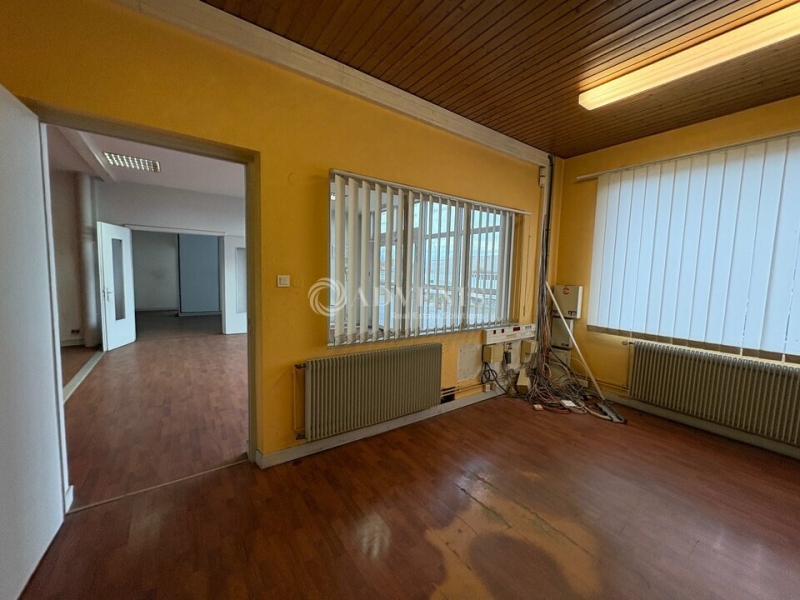 Vente Investisseur Activités Entrepôts REICHSTETT (67116) - Photo 6
