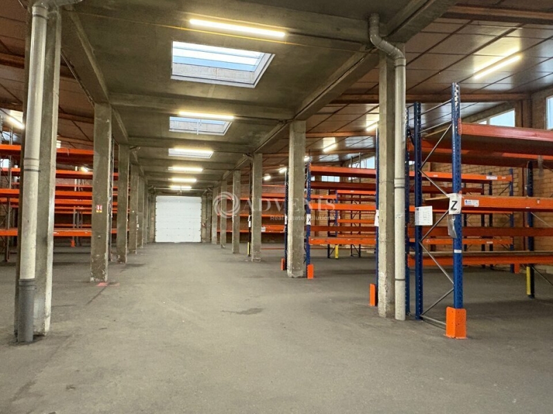 Vente Investisseur Activités Entrepôts REICHSTETT (67116) - Photo 7