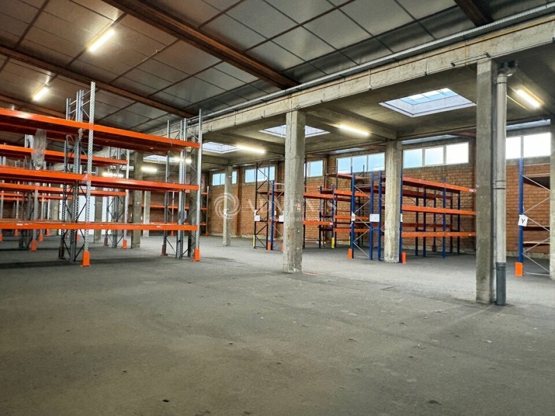 Vente Investisseur Activités Entrepôts REICHSTETT (67116) - Photo 8