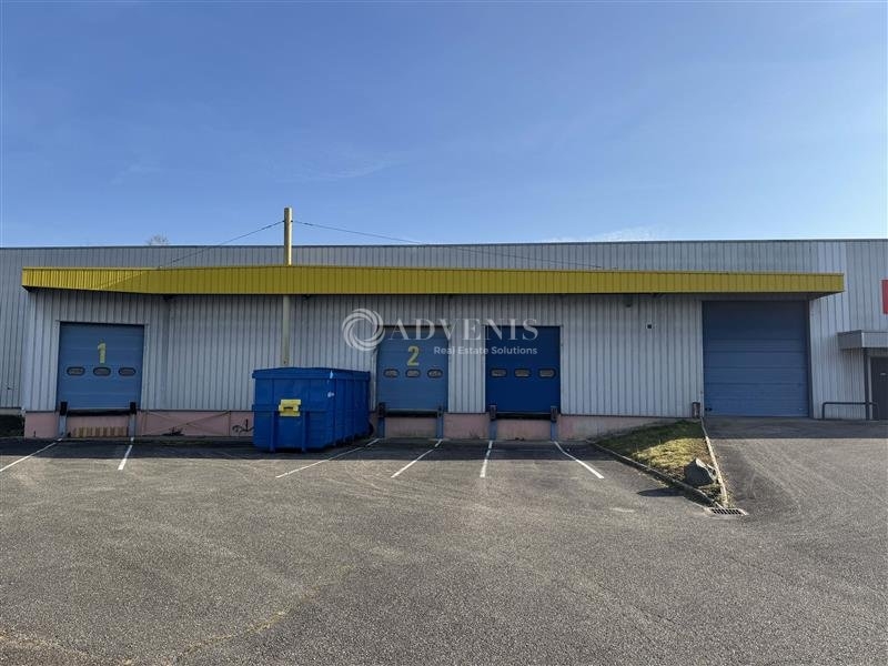 Vente Investisseur Entrepôts GEISPOLSHEIM (67118) - Photo 2