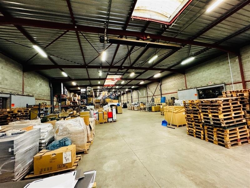 Vente Investisseur Entrepôts GEISPOLSHEIM (67118) - Photo 3