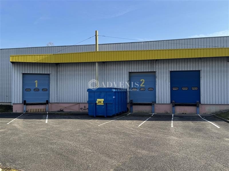 Vente Investisseur Entrepôts GEISPOLSHEIM (67118) - Photo 7