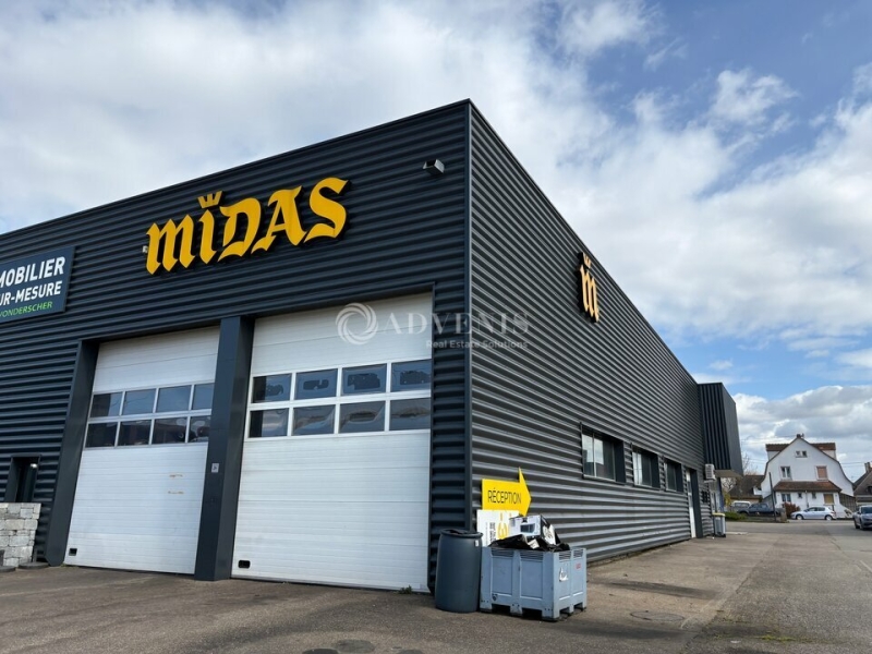 Location Activités Entrepôts SELESTAT (67600) - Photo 3