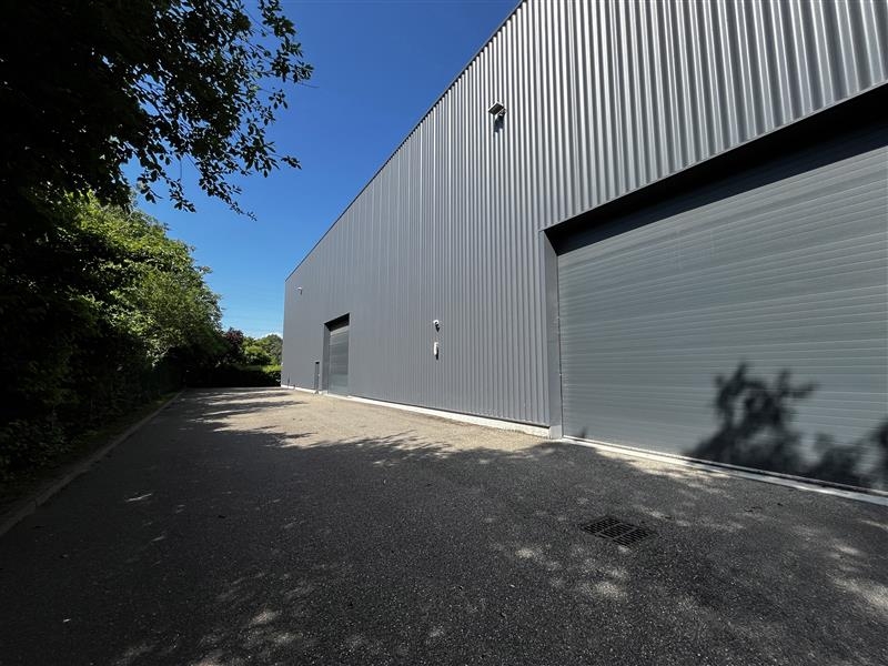 Location Activités Entrepôts ILLKIRCH GRAFFENSTADEN (67400) - Photo 10