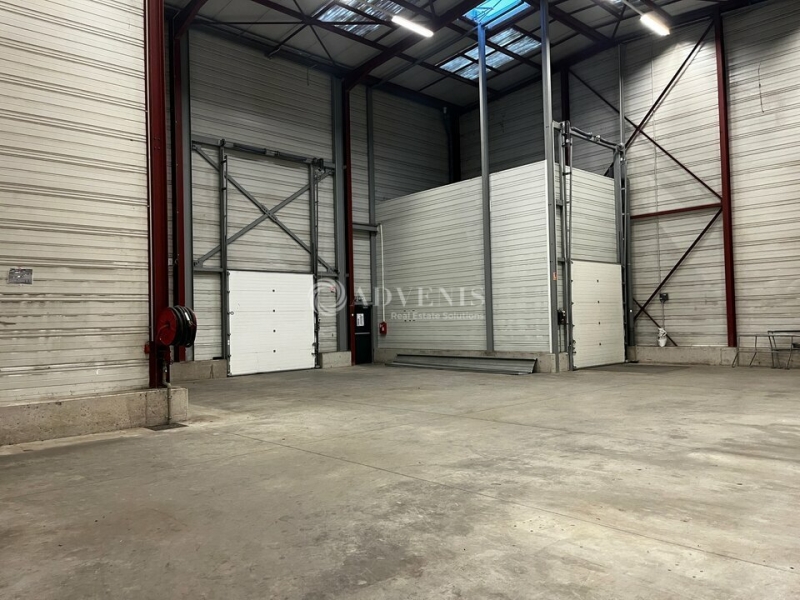 Location Activités Entrepôts ILLKIRCH GRAFFENSTADEN (67400) - Photo 11