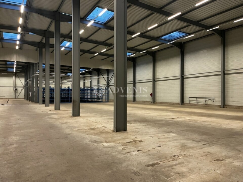 Location Activités Entrepôts ILLKIRCH GRAFFENSTADEN (67400) - Photo 4