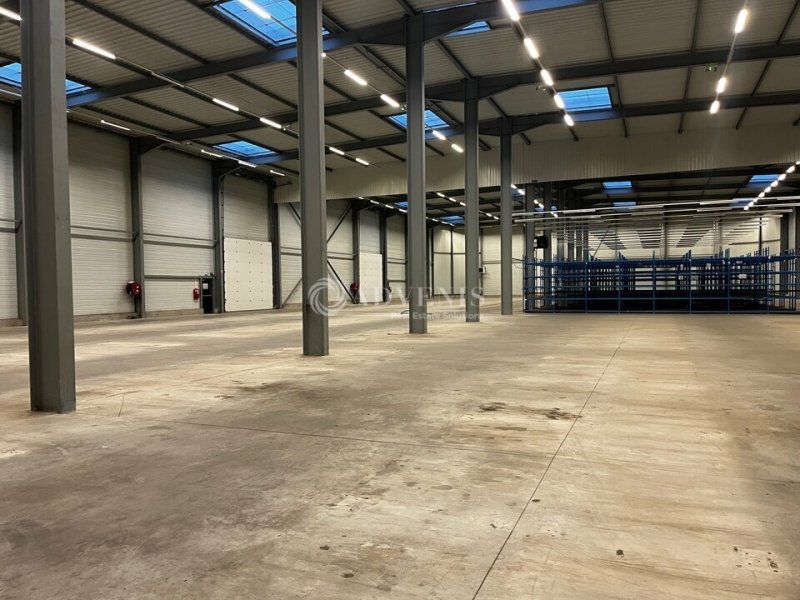 Location Activités Entrepôts ILLKIRCH GRAFFENSTADEN (67400) - Photo 5