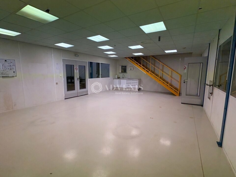 Location Activités Entrepôts ROSHEIM (67560) - Photo 5