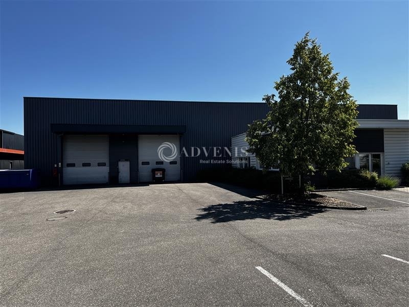 Vente Investisseur Activités Entrepôts ILLKIRCH GRAFFENSTADEN (67400) - Photo 2