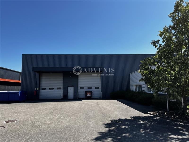 Vente Investisseur Activités Entrepôts ILLKIRCH GRAFFENSTADEN (67400) - Photo 5