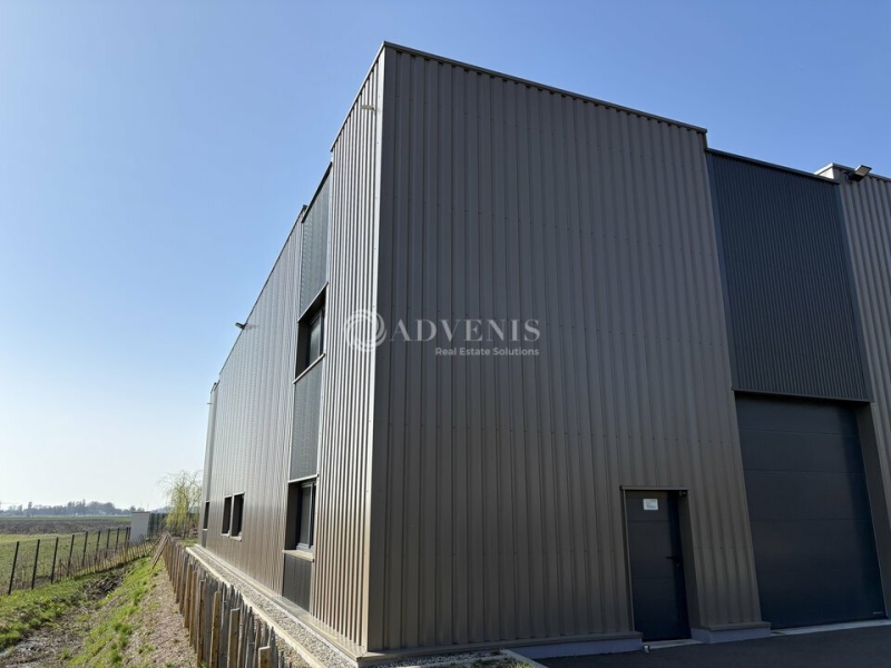 Vente Investisseur Activités Entrepôts KILSTETT (67840) - Photo 2