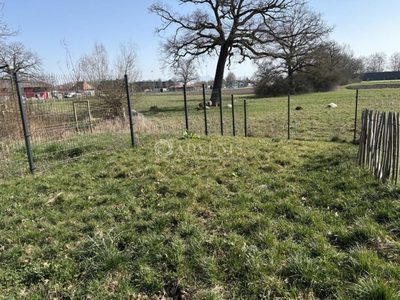 Vente Investisseur Activités Entrepôts KILSTETT (67840) - Photo 9