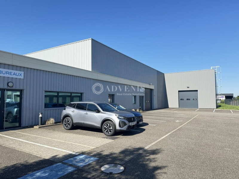 Vente Investisseur Activités Entrepôts HOERDT (67720) - Photo 1