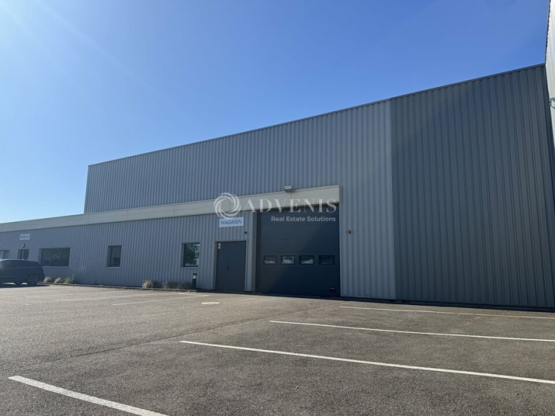 Vente Investisseur Activités Entrepôts HOERDT (67720) - Photo 11