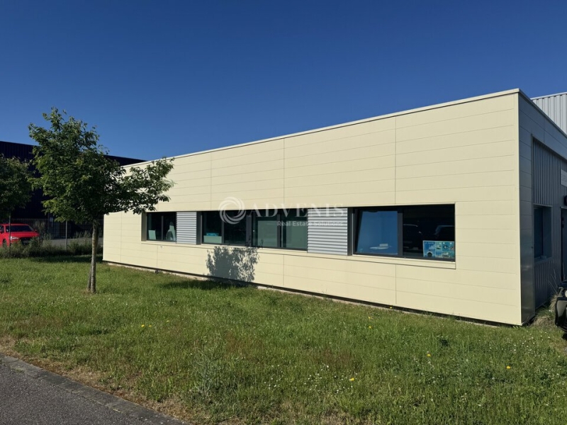 Vente Investisseur Activités Entrepôts HOERDT (67720) - Photo 12