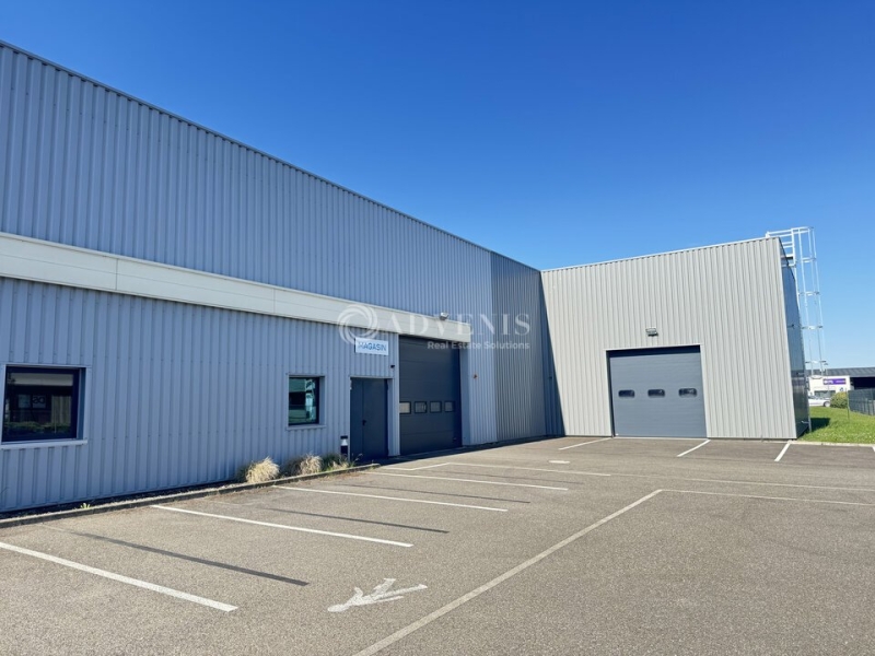 Vente Investisseur Activités Entrepôts HOERDT (67720) - Photo 2