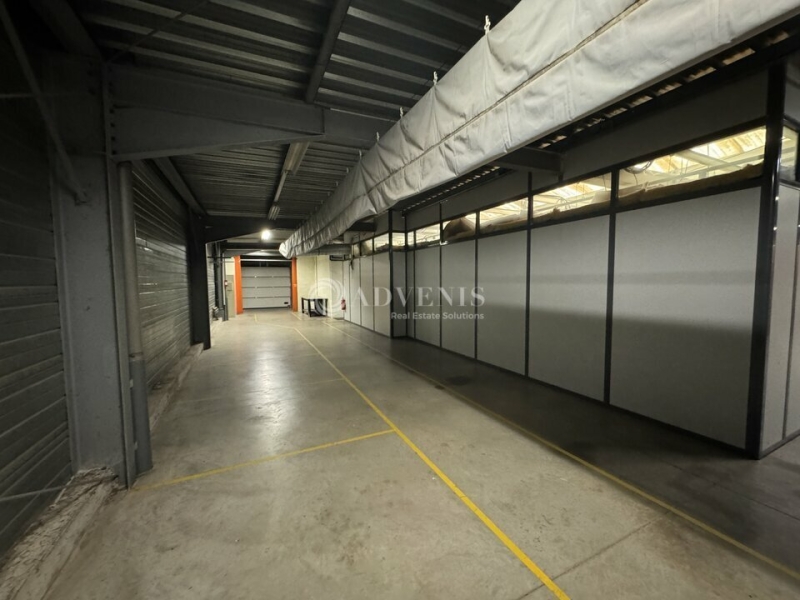 Location Activités Entrepôts ECKBOLSHEIM (67201) - Photo 3