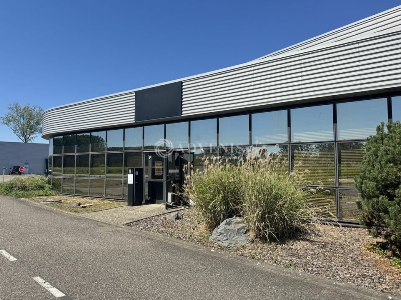 Location Entrepôts LA WANTZENAU (67610) - Photo 10