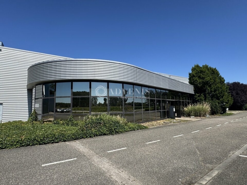 Location Entrepôts LA WANTZENAU (67610) - Photo 11