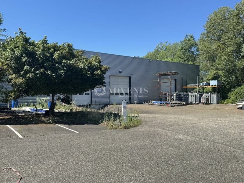 Location Entrepôts LA WANTZENAU (67610) - Photo 12