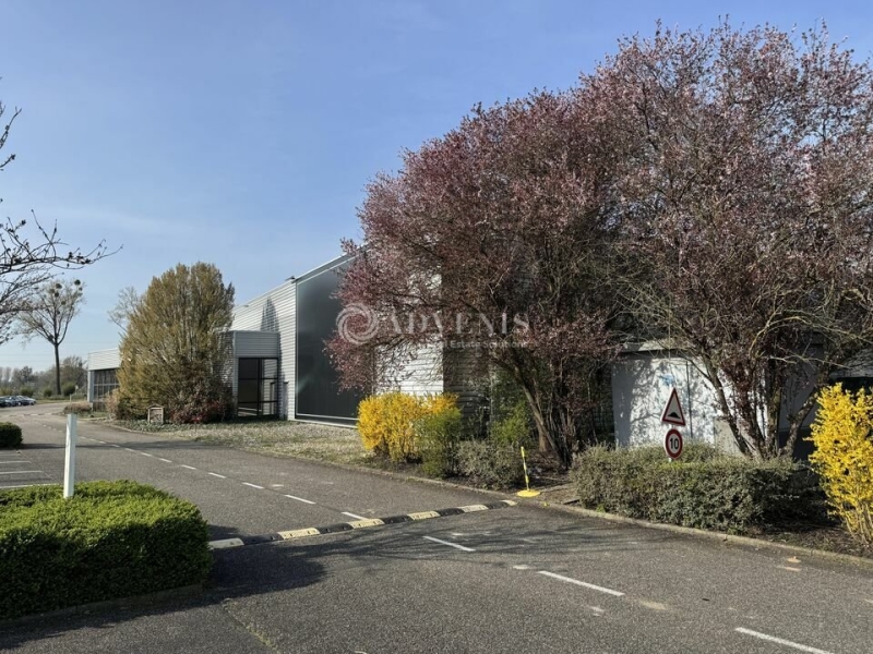 Location Entrepôts LA WANTZENAU (67610) - Photo 3