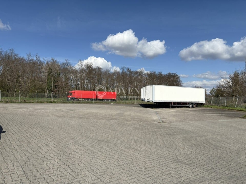 Location Entrepôts SCHERWILLER (67750) - Photo 14