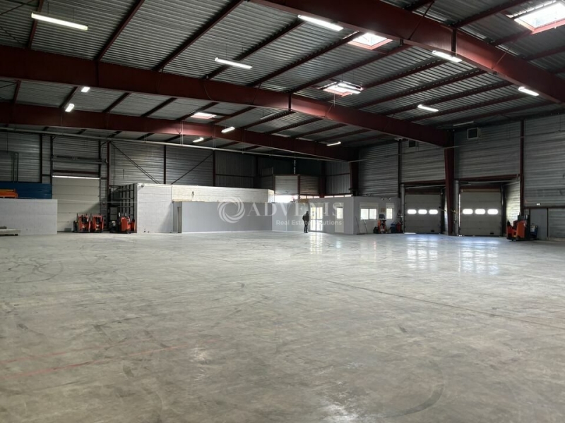 Location Entrepôts SCHERWILLER (67750) - Photo 7