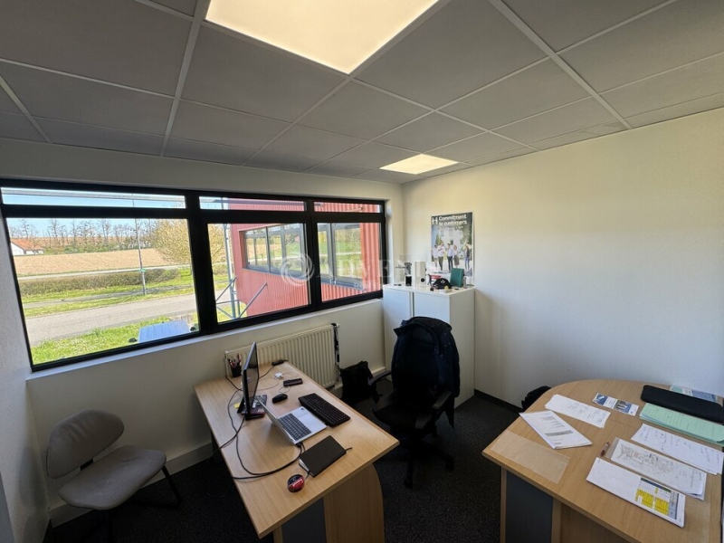 Location Bureaux et activités légères MOMMENHEIM (67670) - Photo 3