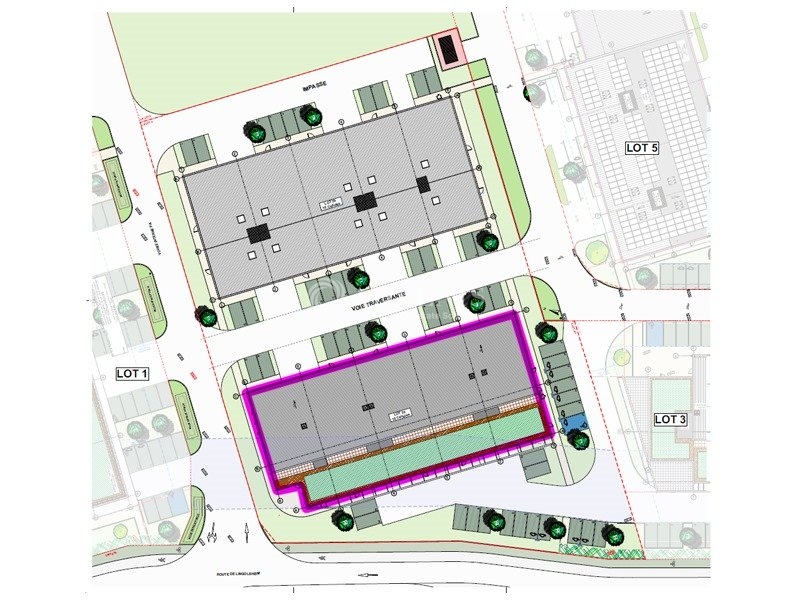 Vente Investisseur Activités Entrepôts GEISPOLSHEIM (67118) - Photo 6