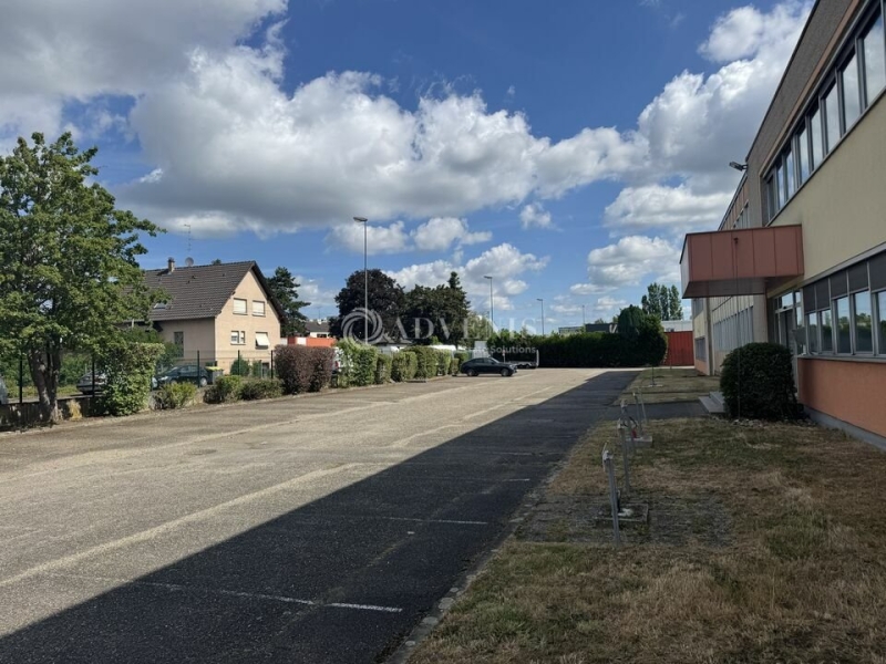 Vente Investisseur Activités Entrepôts SCHILTIGHEIM (67300) - Photo 10
