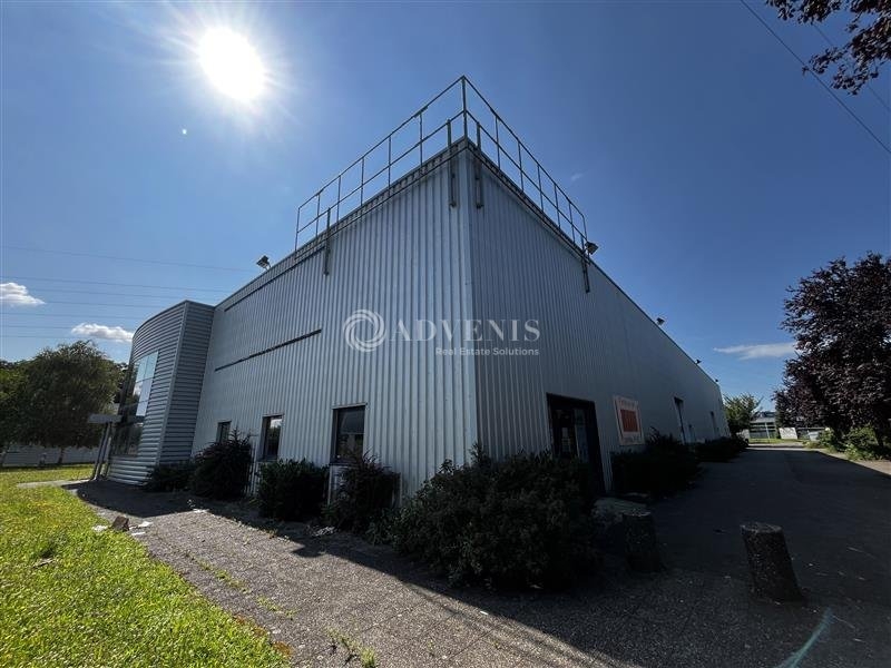 Vente Investisseur Activités Entrepôts ECKBOLSHEIM (67201) - Photo 1
