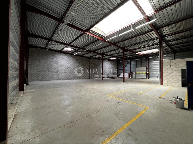 Vente Investisseur Activités Entrepôts ECKBOLSHEIM (67201) - Photo 3