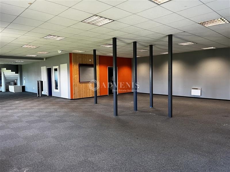 Vente Investisseur Activités Entrepôts ECKBOLSHEIM (67201) - Photo 6