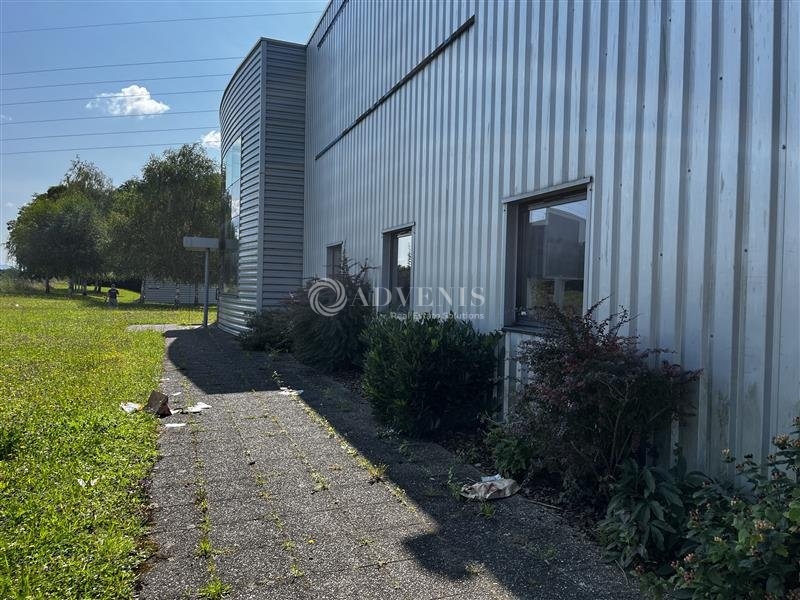 Vente Investisseur Activités Entrepôts ECKBOLSHEIM (67201) - Photo 7